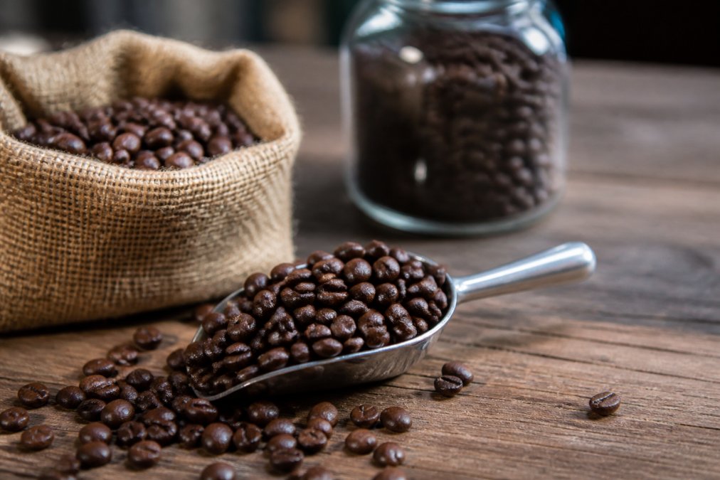 Buy Whole Bean Coffee: 2026 Review & Buying Guide