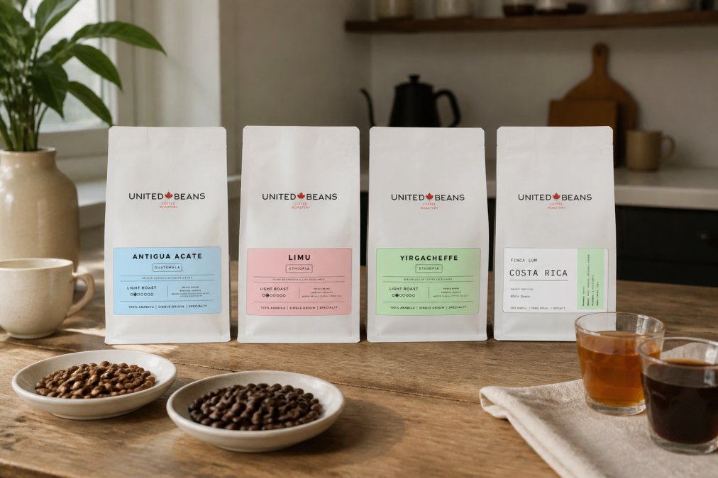 Light vs Dark Roast: Flavor Differences Explained