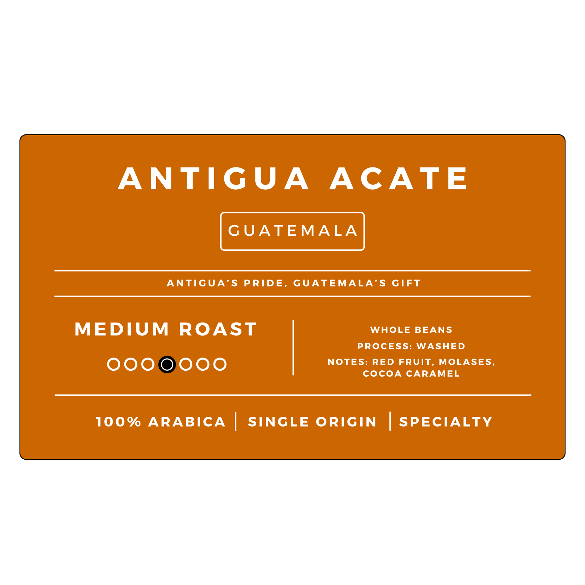 Medium Roast Bundle | 6 Bags-1