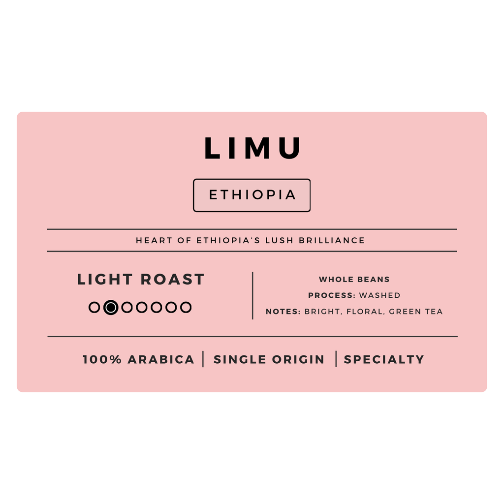 Light Roast Coffee Bundle | 4 bags-2