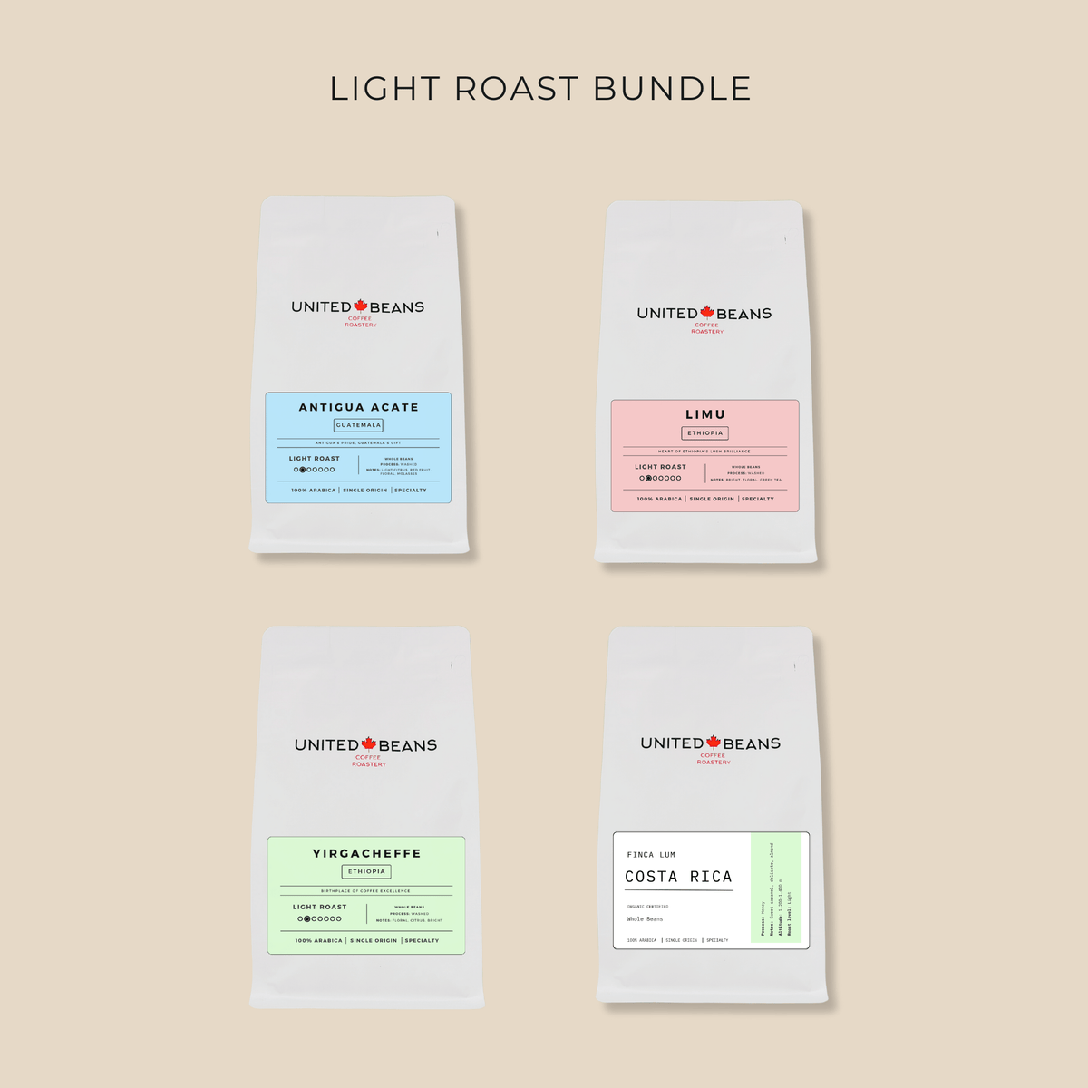 Light Roast Coffee Bundle | 4 bags-0