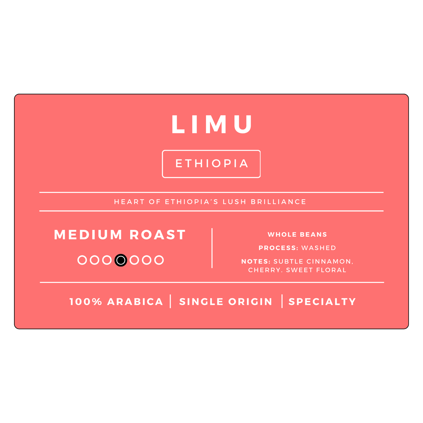 Medium Roast Bundle | 6 Bags-3