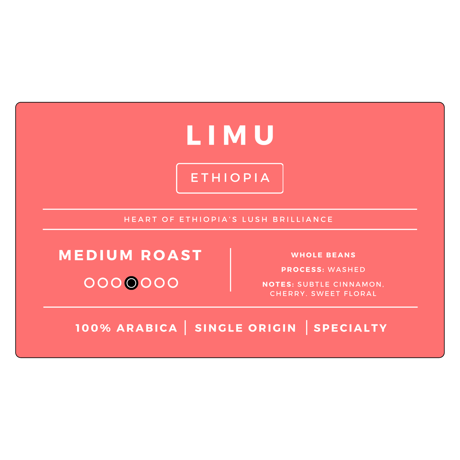 Medium Roast Bundle | 6 Bags-3