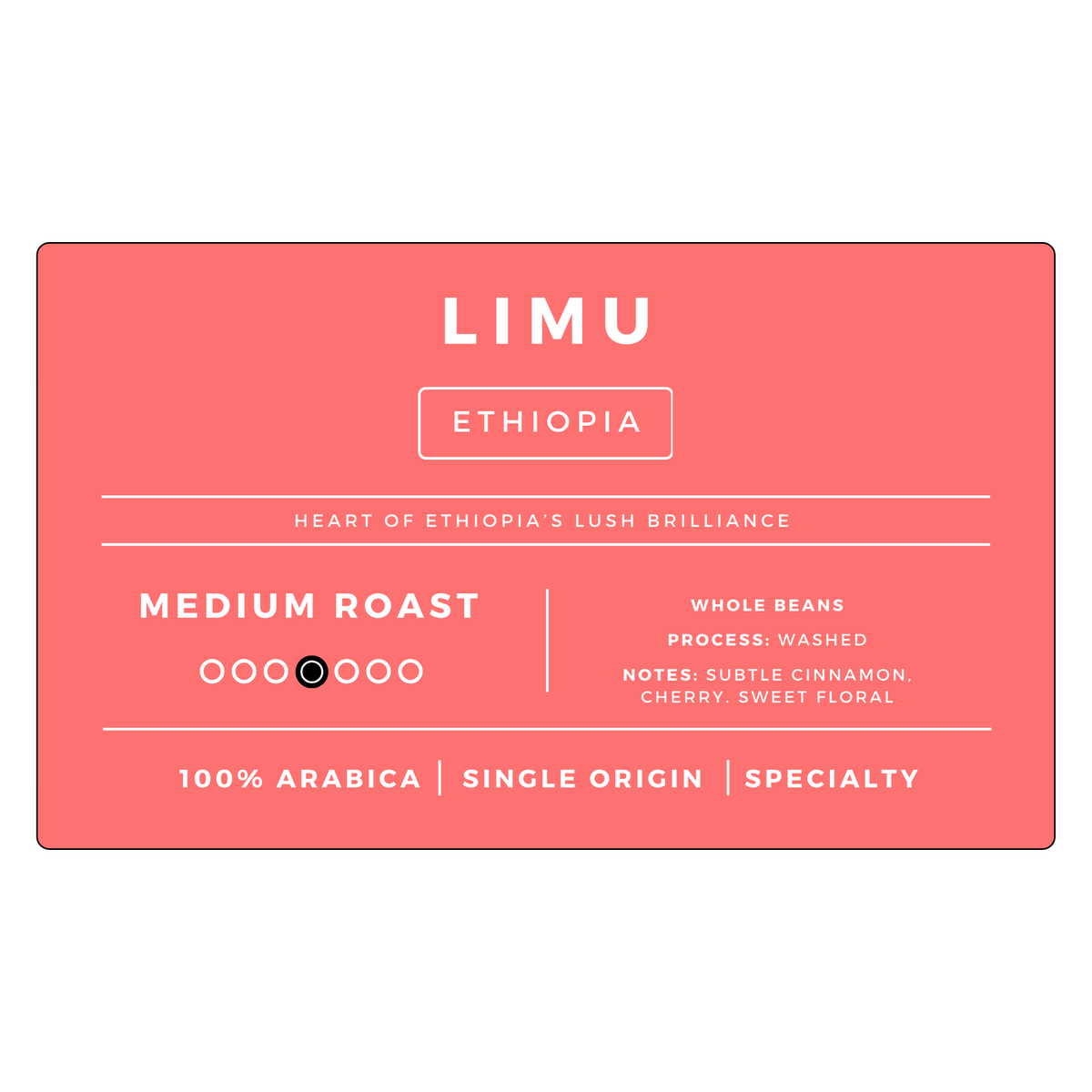 Medium Roast Bundle | 6 Bags-3